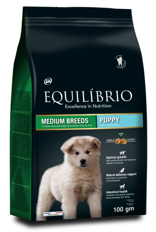 DOG PUPPY MEDIUM