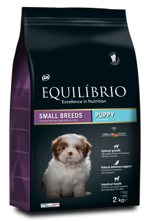 DOG PUPPY SMALL